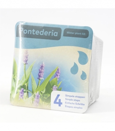 Pontederia