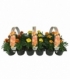 Tagetes