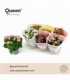 Kalanchoe