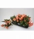 Begonia