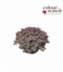 Sedum