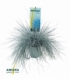 Festuca