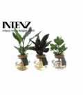 Indoor