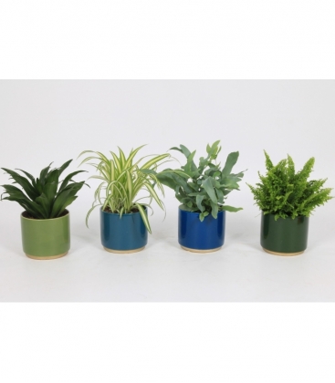 Indoor