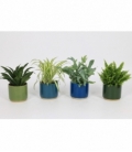 Indoor