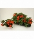 Begonia