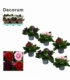 Gloxinia