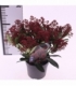 Skimmia