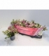 Gaultheria