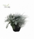 Beddingplants