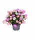 Schlumbergera