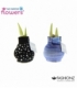 Amaryllis