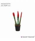 Sansevieria
