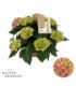 Hydrangea