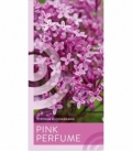 Syringa