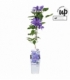 Clematis