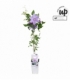 Clematis