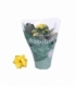 Kalanchoe