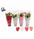 Anthurium