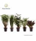 Indoor