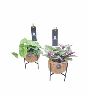 Indoor