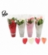 Anthurium