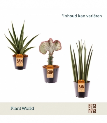 Indoor