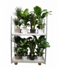Indoor