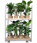 Indoor