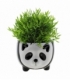Pogonatherum