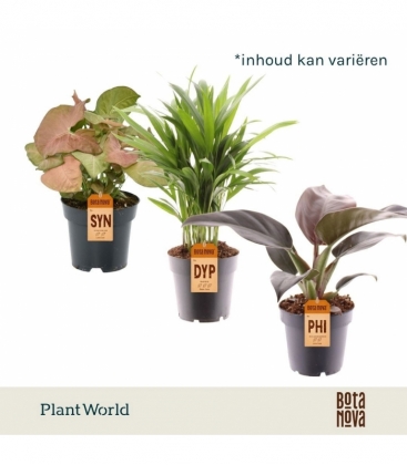 Indoor