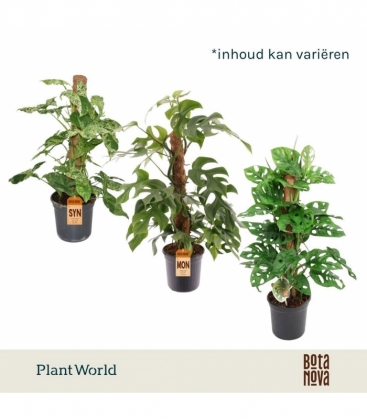 Indoor