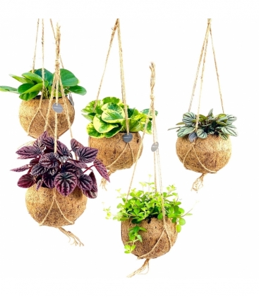 Indoor