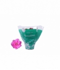 Kalanchoe