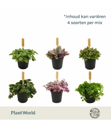 Indoor