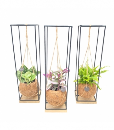 Indoor