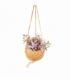 Tradescantia