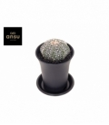 Astrophytum