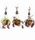 Nepenthes
