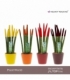 Sansevieria