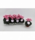Cyclamen