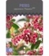 Pieris