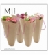 Anthurium