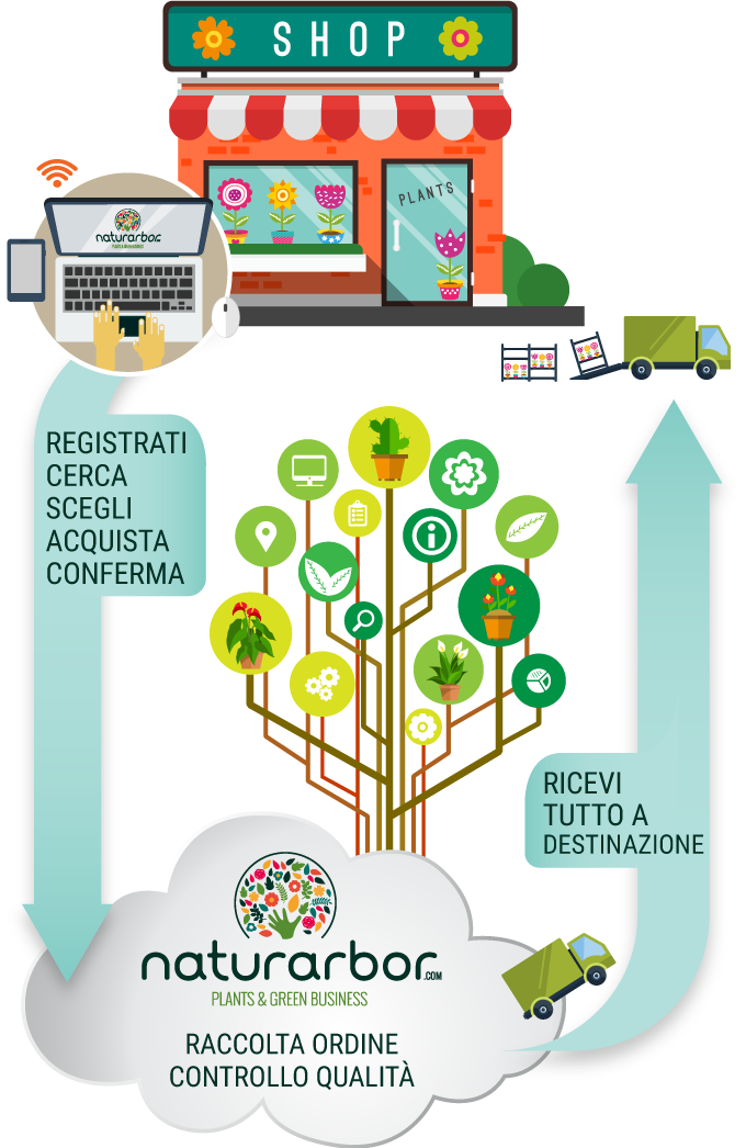 infografica come funziona Naturarbor